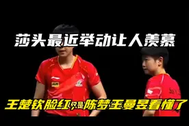 不是情侣！莎头最近举动让人羡慕，王楚钦脸红，陈梦王曼昱看懂了视频封面
