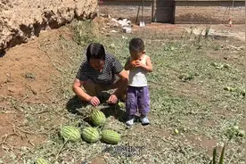 一场突如其来的冰雹，打的庄稼损失惨重，老百姓欲哭无泪视频封面