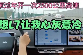 回家过年开一次2500公里高速，理想L7让我心灰意冷视频封面