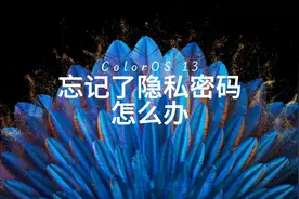 ColorOS 13 忘记了隐私密码怎么办
