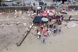 浙江东部的山海小县城鲜甜三门，带你走进鱼港码头，看热闹鱼市。视频封面