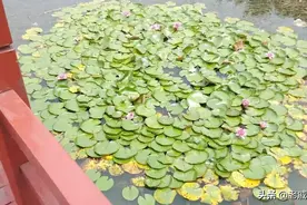 不一样的风景！不一样的心情！图片