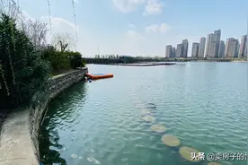 五百亩的五花海，碧桂园奥能罗马世纪城一线湖景图片