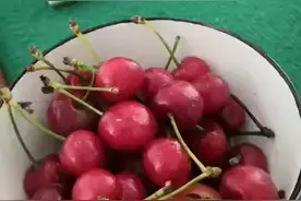 泰安春晖养老视频封面