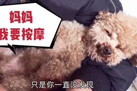 妈妈，可以给我按摩嘛？我想躺在你的怀里睡过去！视频封面