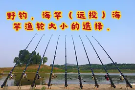 野钓，海竿（远投）手抛竿渔轮大小选择，这个型号才适合抛竿用。