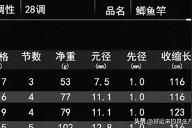 青鲟至尊鲫鱼竿超轻超细超给力，平起5斤保钓30-40斤大鱼。图片