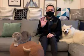 V影响力峰会视频封面