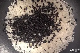 东北二米饭，大米黑米一起煮，好吃又养生！大家都知道视频封面
