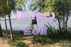 单身挺好的，不吃醋，不流泪，不在乎，不怕离开，不怕失去！视频封面