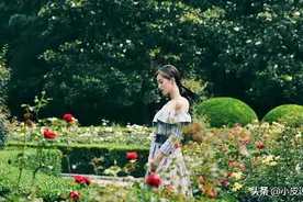 刘诗诗荷叶边露肩格纹裙搭配蝴蝶结发带，展示一字肩天鹅颈太绝了图片