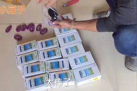 当初千元的5.5寸手机，如今全新价值确不足百元，白送小伙都不要视频封面