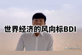 波罗的海干散货指数（BDI）它是个什么玩意儿视频封面