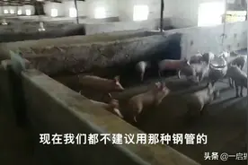 一千多头的猪场料槽这样设计合理吗，各有各道，经济实用也是关健