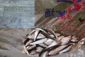 6.3米手竿配上七星鳔，全水域通杀，屡试不爽，从没让我失望过。视频封面