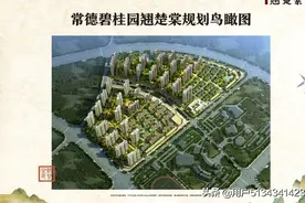 碧桂园翘楚棠图片