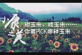 【甜玉米、糯玉米……#你要PICK哪种玉米#】甜玉米还是糯玉米？
