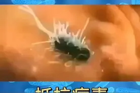 如何全面预防冠状病毒视频封面