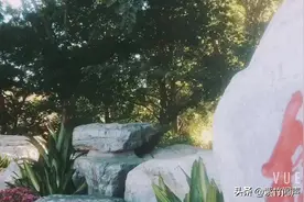 北京玉渊潭公园视频封面