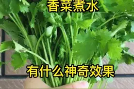 香菜煮水有什么神奇作用视频封面