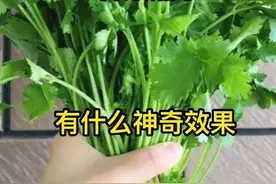 香菜煮水有什么神奇作用视频封面