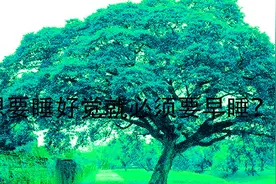 高效睡眠3:想要睡好觉就必须要早睡？