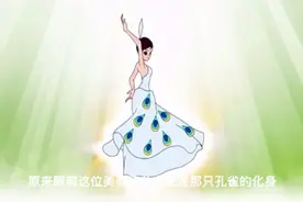 孔雀公主的故事视频封面