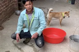 狗狗皮肤病掉毛光洗澡没有用，小伙教大家防治，效果不错