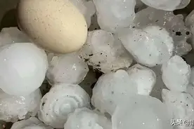 建国以来 最大的冰雹图片