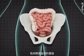 盆底肌功能的动画演示。
#人体科学微课堂#视频封面