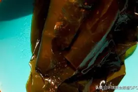 海带怎么做好吃？两种烹饪方法，做出不同风味图片