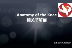 膝关节3D解剖视频封面