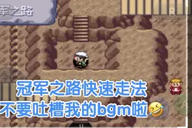 口袋妖怪究极绿宝石冠军之路走法视频封面