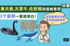 非常时髦的词：黑天鹅、灰犀牛、伦敦鲸到底是些啥意思？视频封面