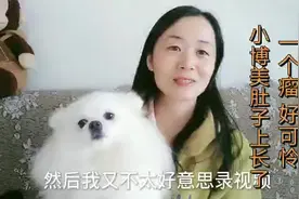 小博美肚子上长了一个瘤，严重吗？听听看完医生怎么说的视频封面
