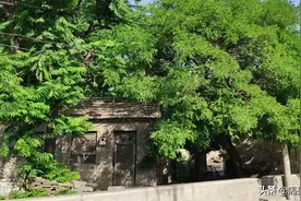 青山不改绿水长流图片