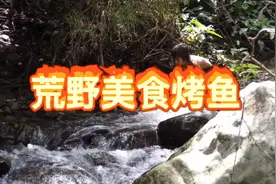 荒野美食：原来鱼也是个演员，捂脸！
