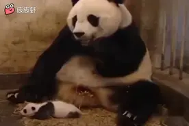 银谷骗子公司，逼死这么多人。有人知道套在里面的钱怎么搞出来么视频封面