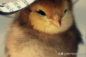 人生如果有如果图片