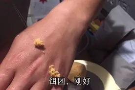 自制黑坑鲫鱼大杂烩饵料，看这饵料状态，想不爆护都难视频封面