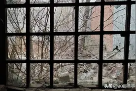 那年的以父之名图片