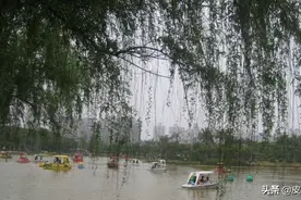 2011年拍摄于东莞常平公园，还是用的老相机，现在应该变化很大了图片