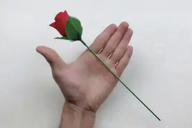 魔术揭秘：为什么吹一口气，点燃的火把就会变成漂亮的玫瑰花？