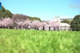 #2021一起晒春天#【#武汉大学早樱初盛开#】20日，随着天气渐暖视频封面