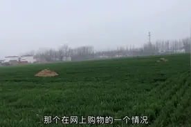 网上购物不满意退货，员工和老板的处理方式，真是千差万别！视频封面