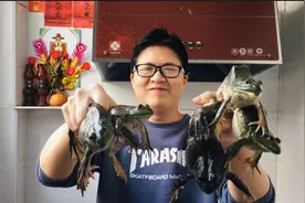 10块钱买了5只牛蛙，连皮带肉一起红焖了，蛙皮软糯，非常下饭视频封面