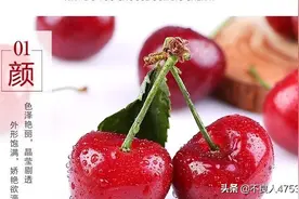 顺丰空运，时效领鲜！不吃樱桃怎能感受生活甜蜜，赶快扫码下单了图片