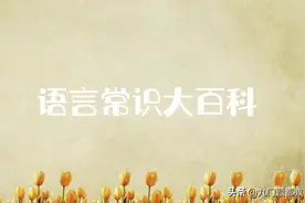 中国究竟有多少个汉字？语言常识大百科，全民求知季视频封面