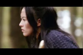 章子怡《十面埋伏》精彩马战打戏视频封面