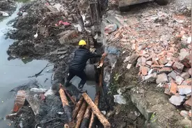 城市都在弄河道改造两边都打成木桩，大家知道起什么作用吗？视频封面